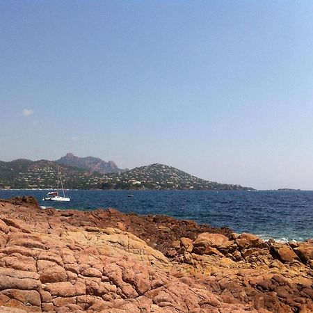 Appt Confort 3 Pieces Avec Terrasse Et Piscine A Saint-Raphael - Fr-1-226A-124 外观 照片